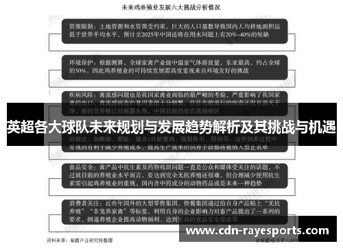 英超各大球队未来规划与发展趋势解析及其挑战与机遇